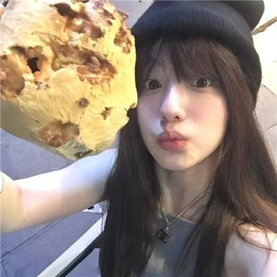 灰天鹅绒上的四只苍蝇